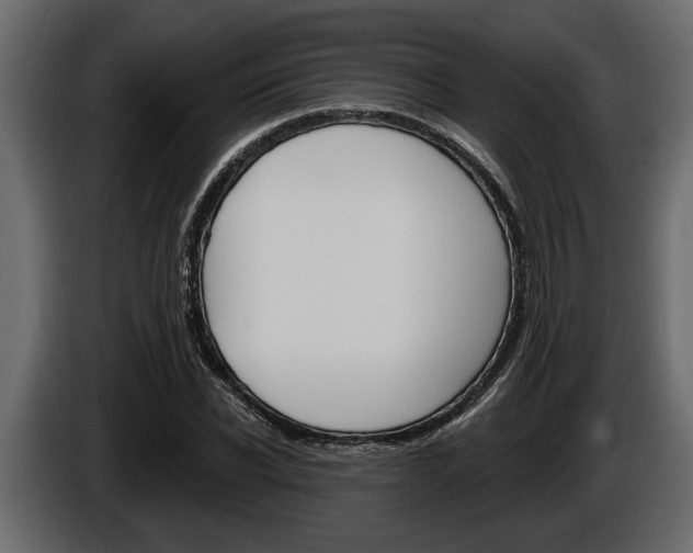 X0000086000926200703230846