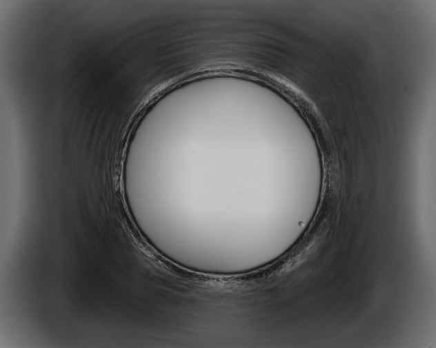 X0000086000929200703230846