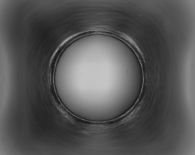 X0000086000931200703230846