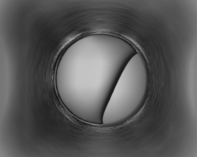 X0000086000933200703230846