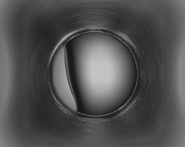 X0000086000934200703230846