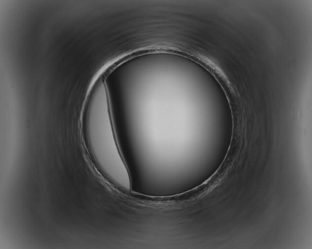 X0000086000936200703230846