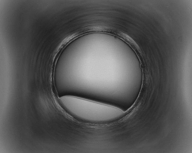 X0000086000938200703230846