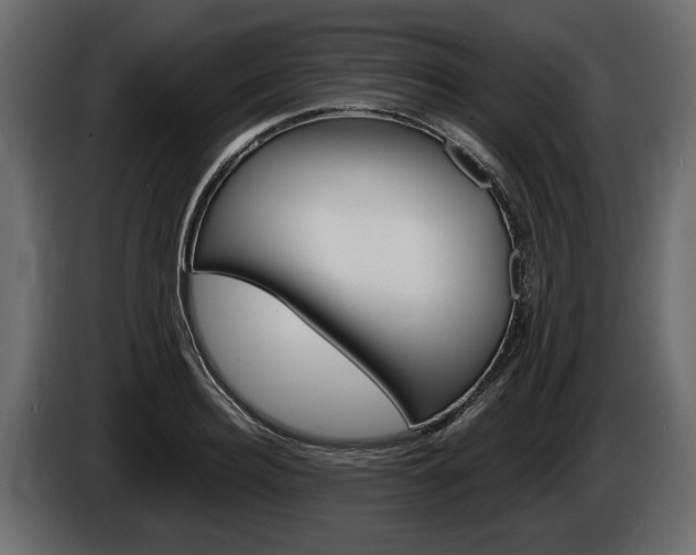 X0000086000940200703230846