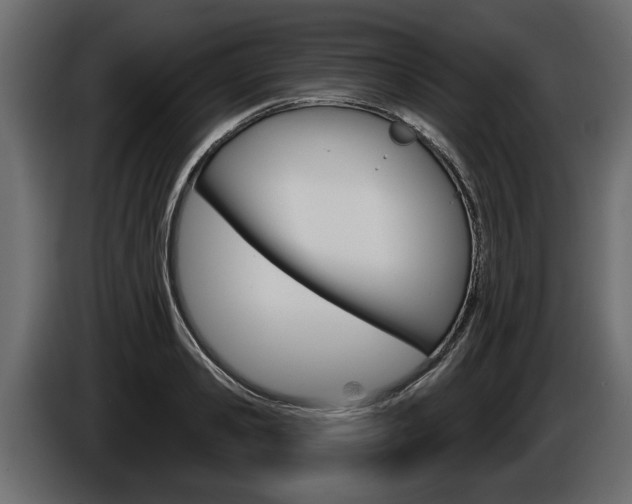 X0000086000941200703230846
