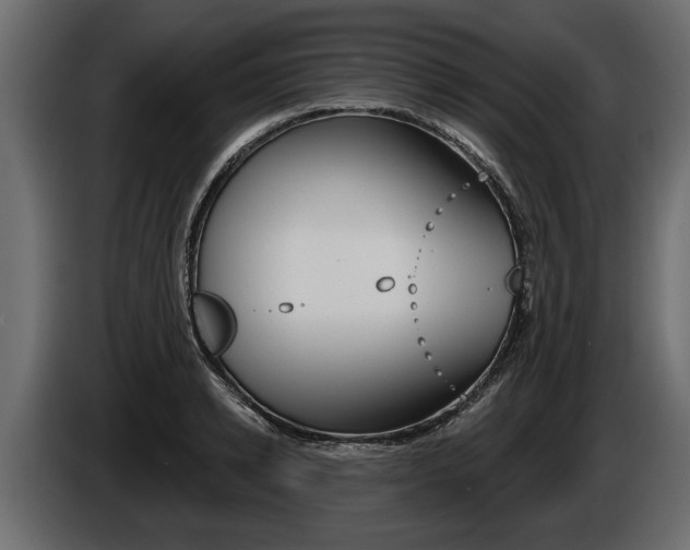 X0000086000942200703230846