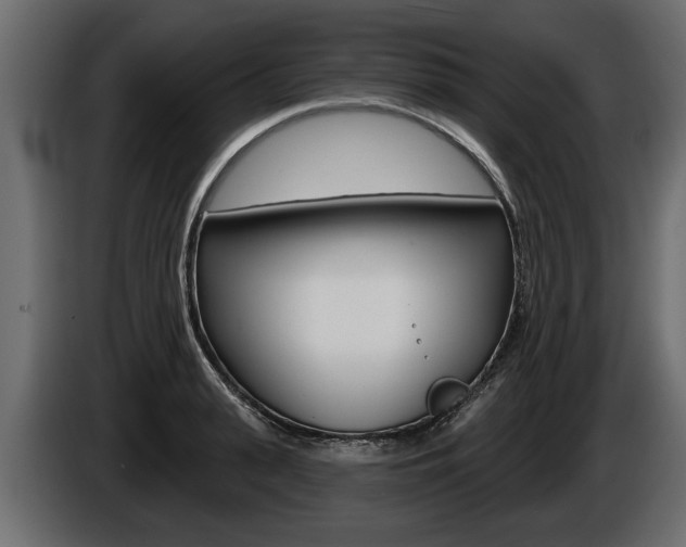 X0000086000943200703230846