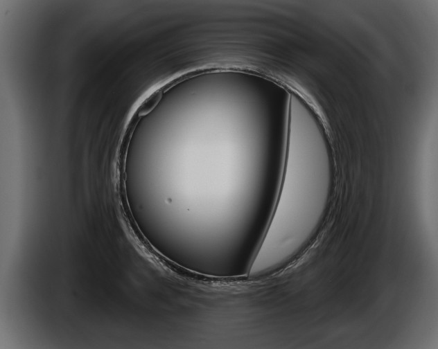 X0000086000944200703230846