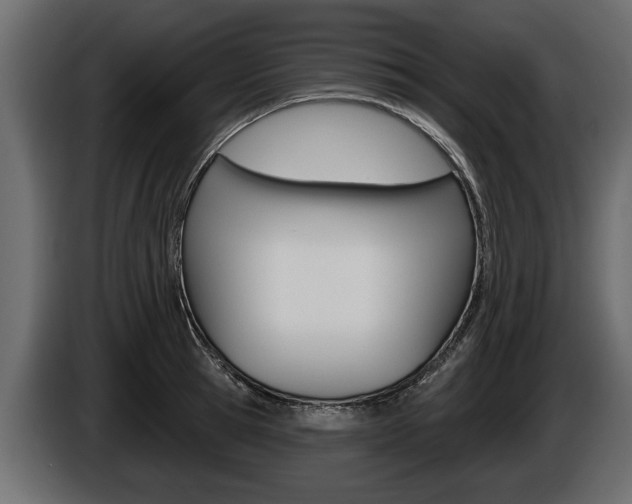 X0000086000945200703230846