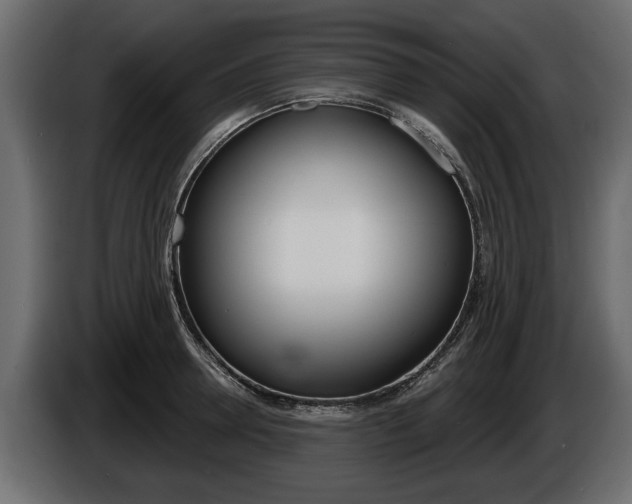X0000086000946200703230846