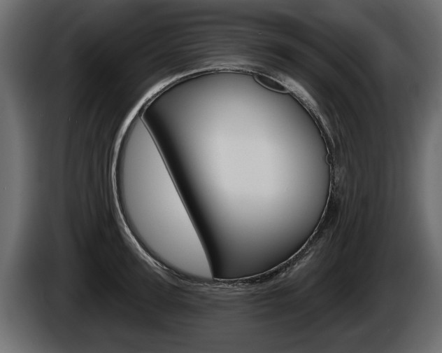 X0000086000947200703230846