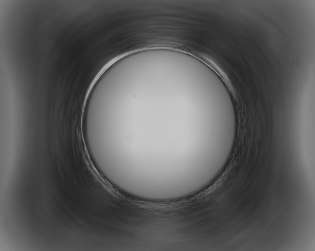 X0000086000948200703230846