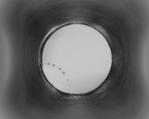 X0000086000950200703230846