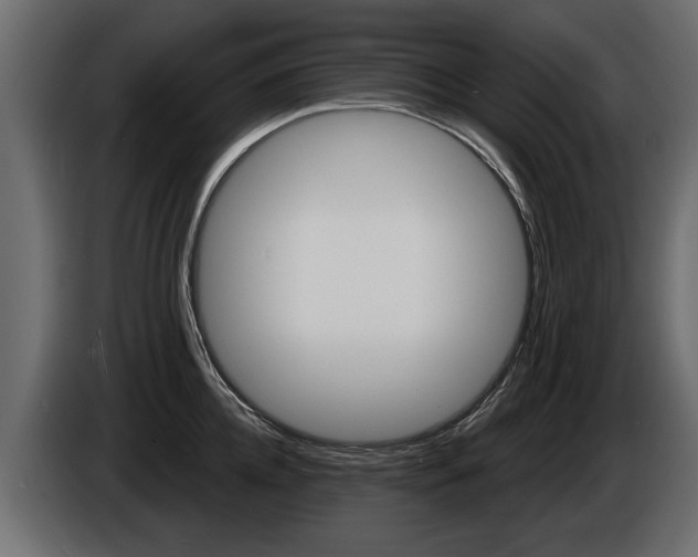 X0000086000952200703230846