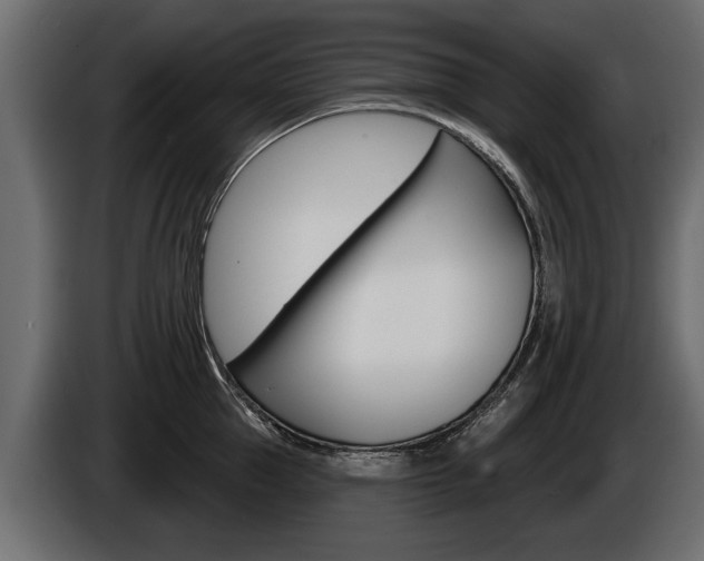 X0000086000953200703230846