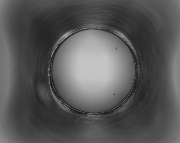 X0000086000954200703230846