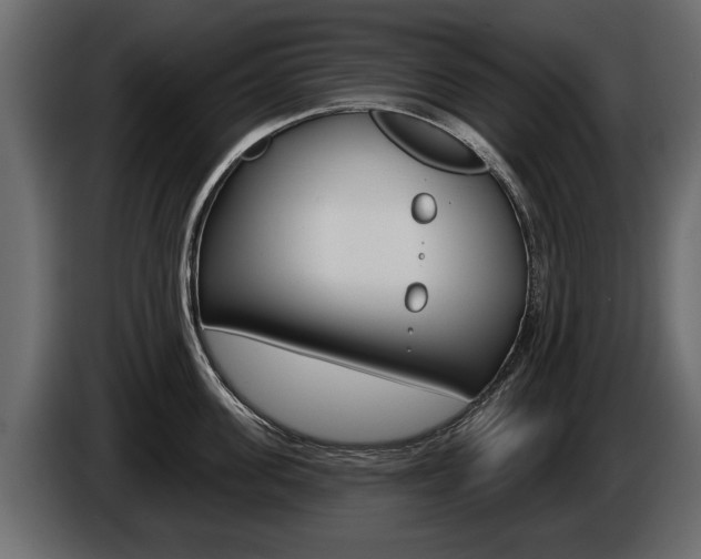 X0000086000955200703230846