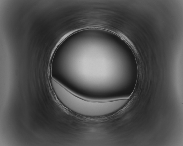X0000086000956200703230846