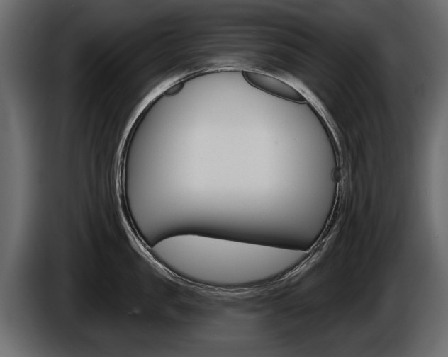 X0000086000957200703230846