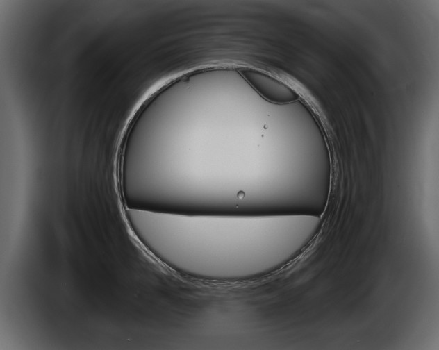 X0000086000958200703230846