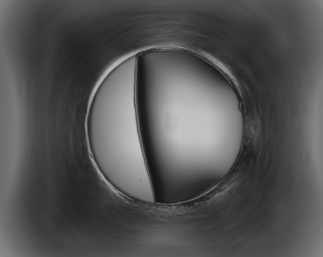 X0000086000959200703230846