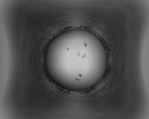 X0000086000961200703230846