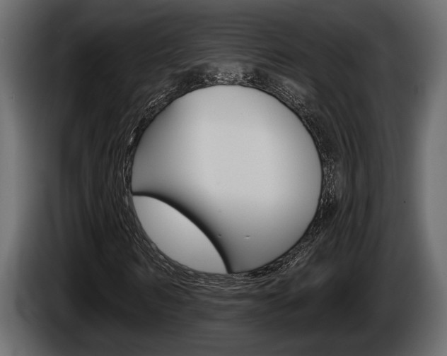 X0000086000962200703230845