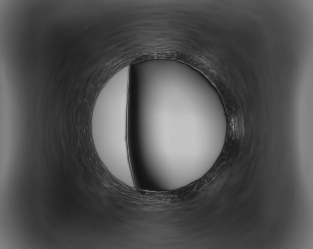 X0000086000963200703230845