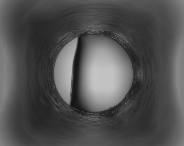 X0000086000964200703230845