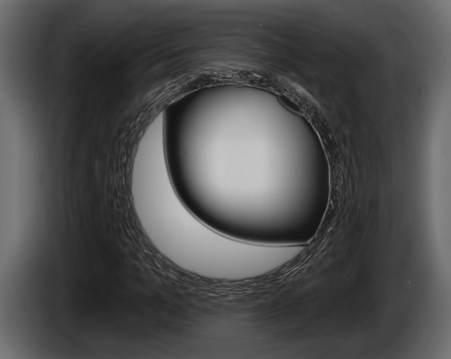 X0000086000965200703230845
