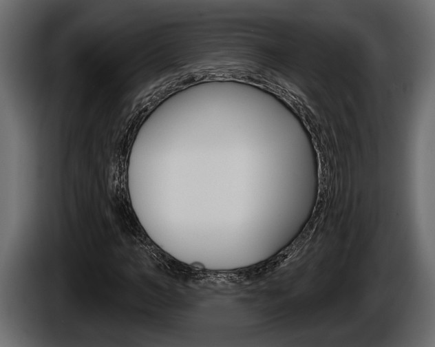 X0000086000966200703230845