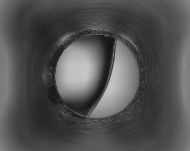 X0000086000968200703230845