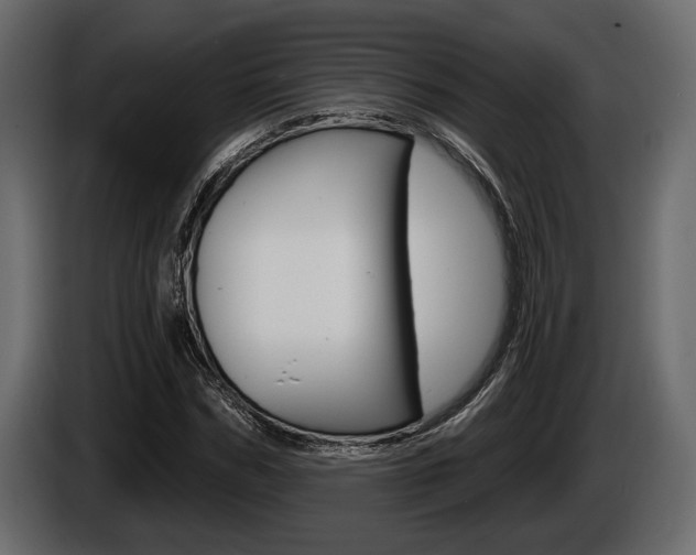 X0000086000970200703230845