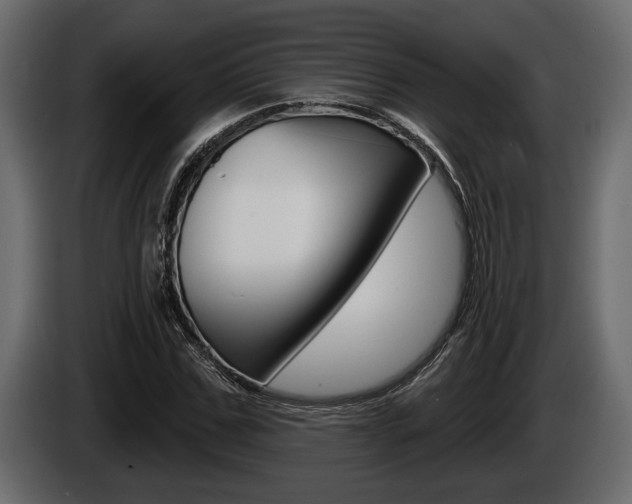 X0000086000971200703230845