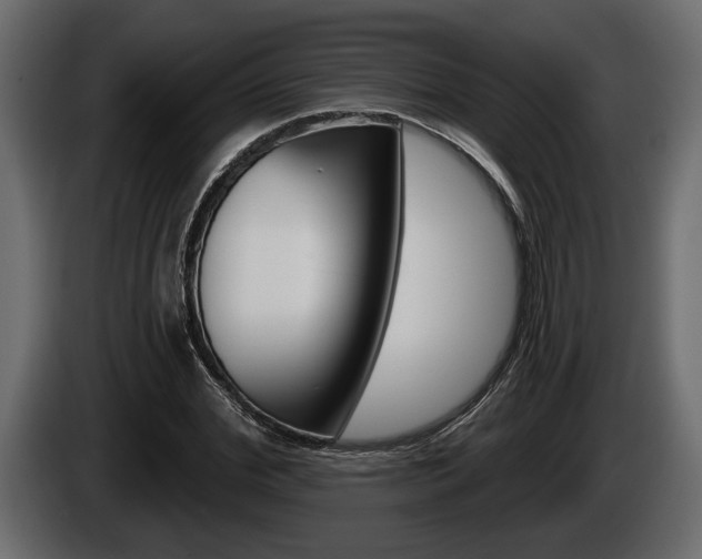 X0000086000972200703230845
