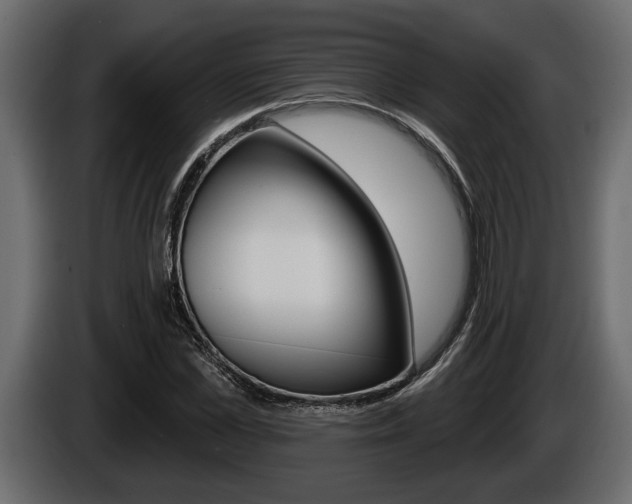 X0000086000973200703230845