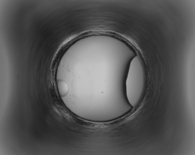 X0000086000974200703230845