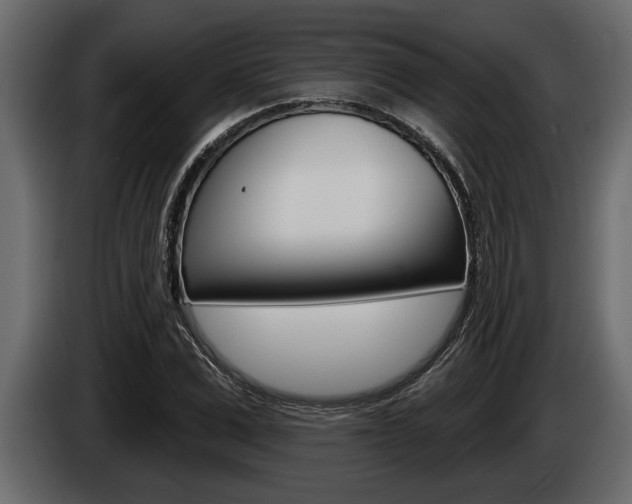 X0000086000975200703230845
