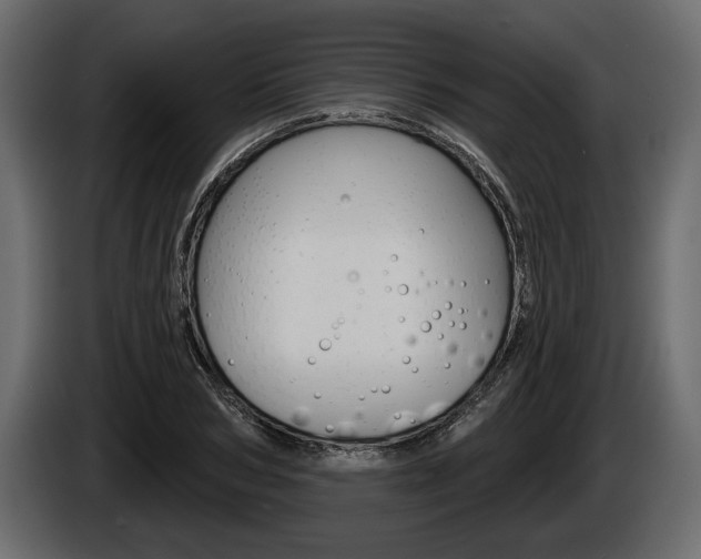 X0000086000978200703230845