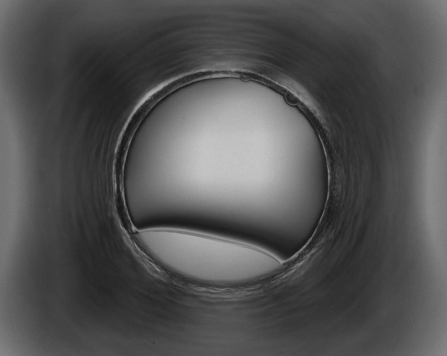 X0000086000980200703230845