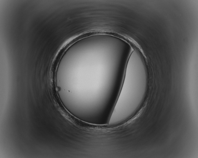 X0000086000981200703230845