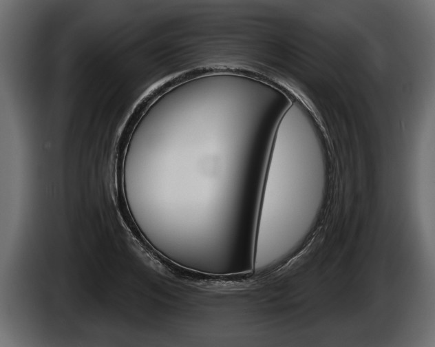 X0000086000984200703230845