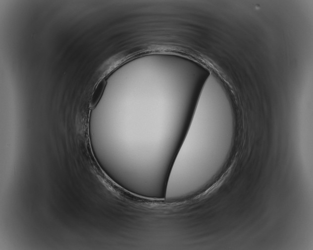 X0000086000985200703230845