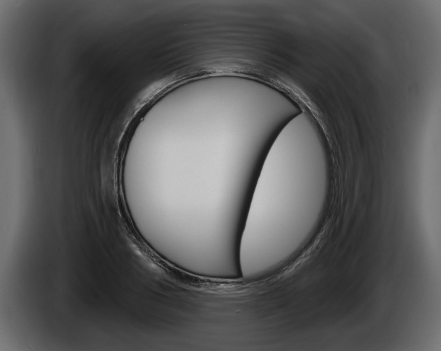 X0000086000986200703230845