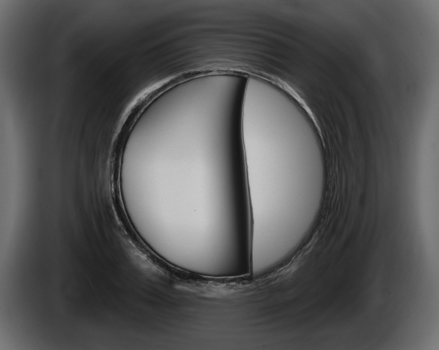 X0000086000987200703230845