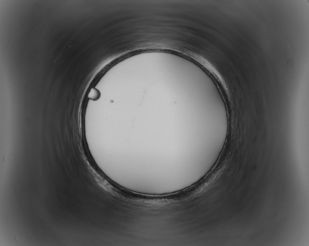 X0000086000988200703230845