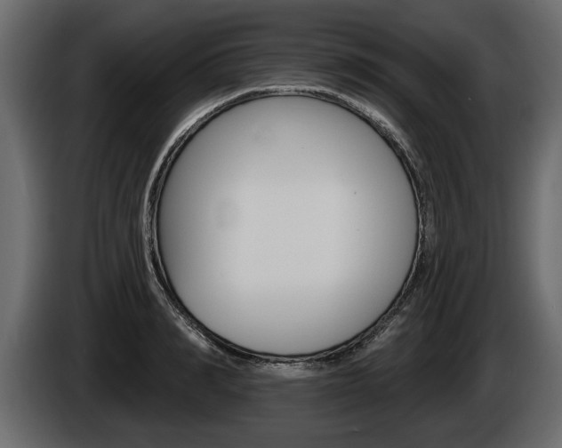 X0000086000990200703230845