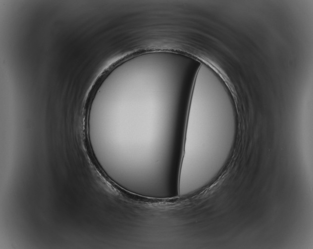 X0000086000992200703230845