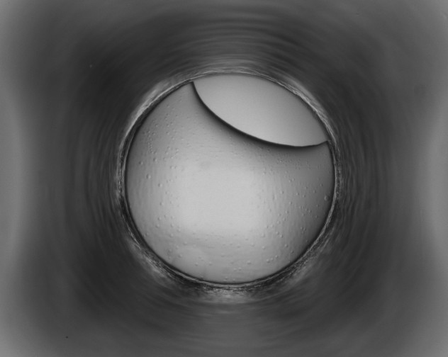 X0000086000994200703230845