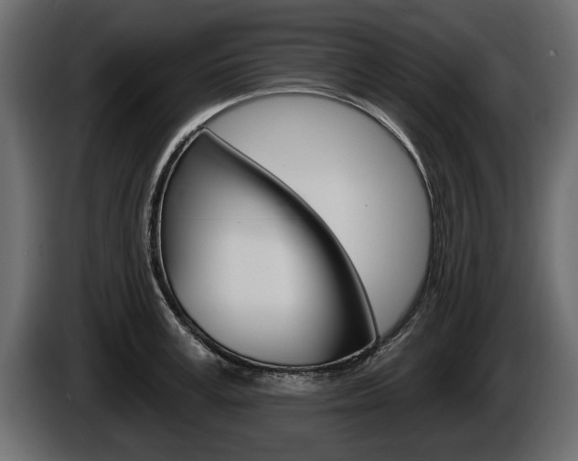 X0000086000995200703230845